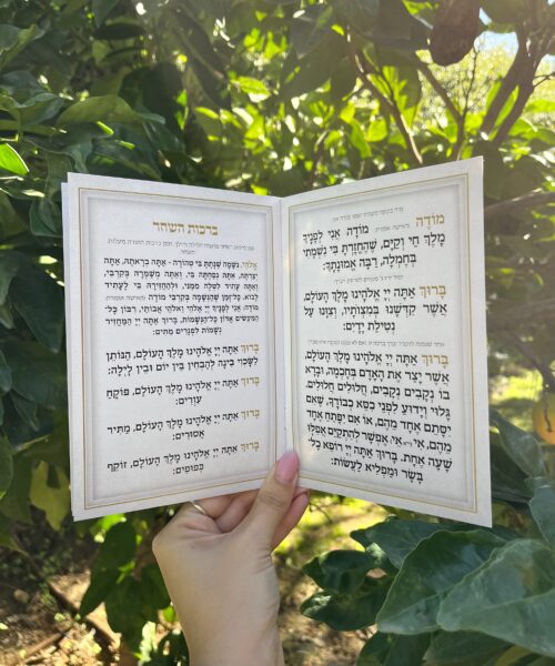 ברכות השחר ציפורים 2