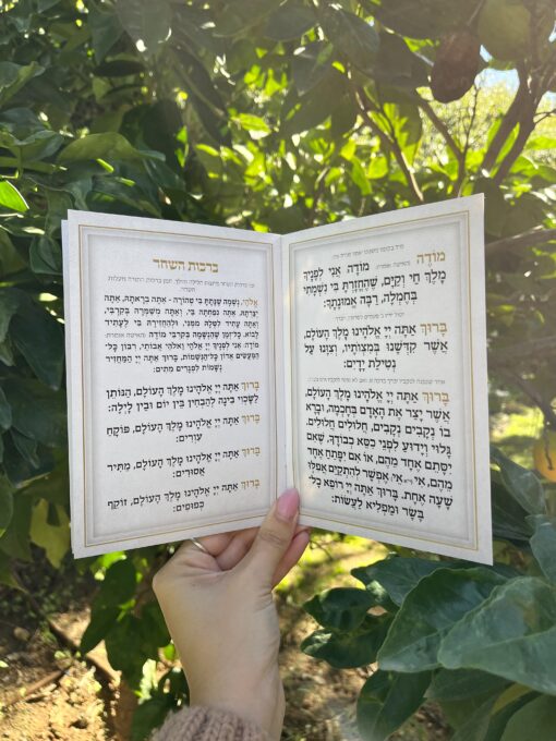 ברכות השחר ציפורים 2