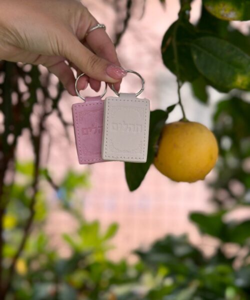 מחזיר מפתחו