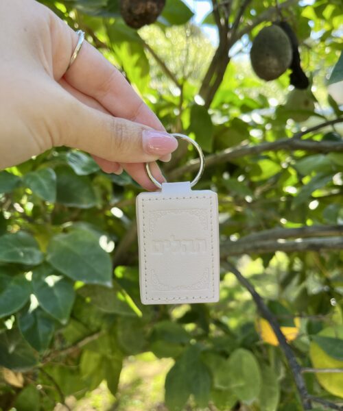 תהילים שמנת 2