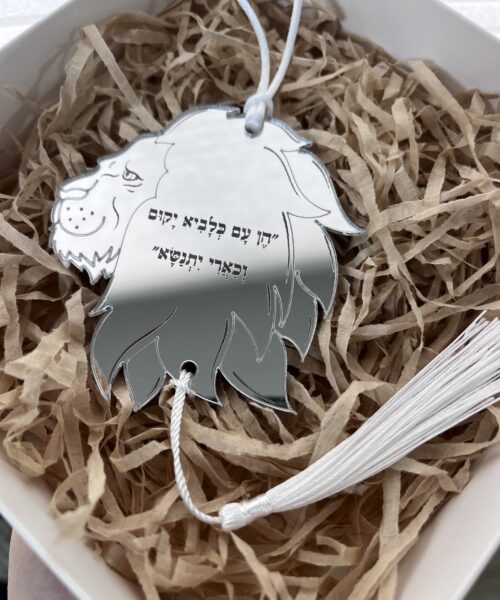 תילון לרכב אריה 1